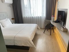 -白玉兰酒店(上海田子坊马当路地铁站店)