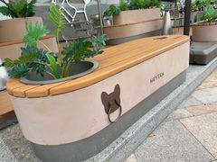-喜茶(珠海华发商都店)