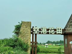 -空港花田景区