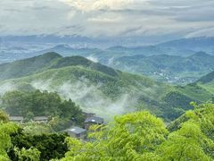 -莫干山风景区