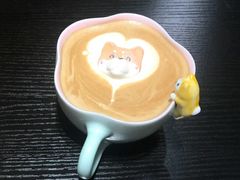 -逗柴咖啡屋·狗咖猫咖宠物桌游