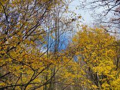 -叠溪松坪沟景区