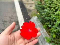 -陕西省红河谷森林公园