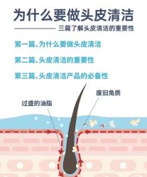 -木北造型