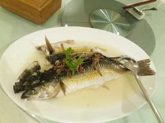 清蒸本湾鲚鱼-壹零贰小馆(桂城石啃店)