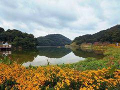 -广州市石门国家森林公园