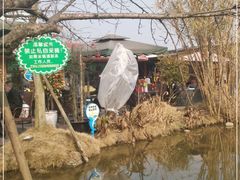 -洪湖家庭农场·团建·露营·会议