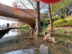 -云溪植物园