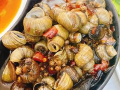 辣炒田螺-辣螃铠盆盆蟹大排档(总店)