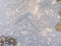 -丽江泸沽湖景区