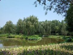 -东郊湿地公园