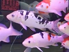 -水沐汇洗浴广场(香檀一号店)