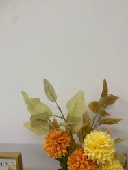 -变美丽半永久纹眉连锁·机器野生眉·洗眉