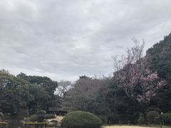 -东京国立博物馆