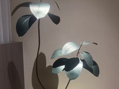 -木兰逸•泰式按摩•头疗•SPA(车公庙店)