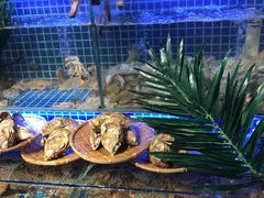 -必点海鲜·鲅鱼水饺(鞍山西道店)
