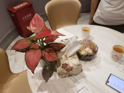 -艾维庭美学SPA