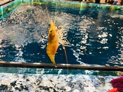 -SHRIMP CLUB万东餐饮钓虾·清吧