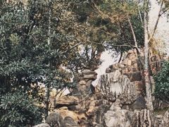 -莲湖公园