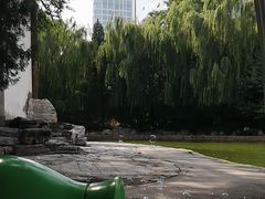 -团结湖公园