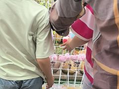 -后湖小院·乡野田园菜