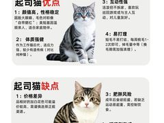 -翊宠yipet猫狗购宠庄园犬舍•猫舍