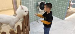 -Moni星球萌宠·小马宝莉·灵蛇·高端高阶全萌宠互动体验俱乐部(红豆国际广场店)