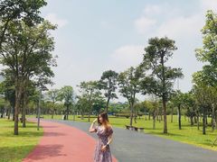 -万绿园