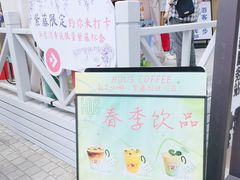 -嘉定紫藤园