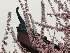 -堤角公园