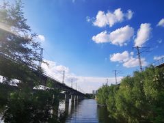 -长白岛森林公园