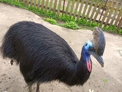 -哈尔滨北方森林动物园