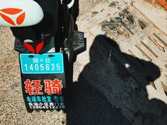 -养马岛旅游度假区