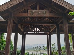 -福建鲤鱼洲酒店