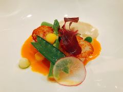 -蝶舍·MAISON PAPILLON