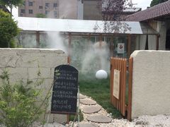 -Jo's Garden
