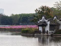 -海珠湖公园