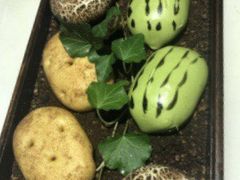 -佬麻雀·新湘菜(珠海金发购物中心店)