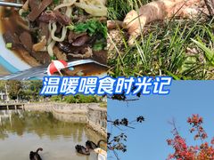 -安徽大学(磬苑校区)