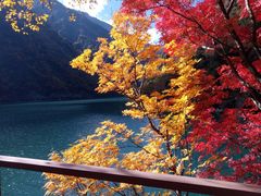 -叠溪松坪沟景区