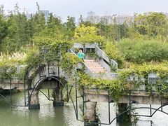 -三垟湿地
