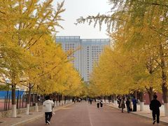 -辽宁大学(崇山校区)