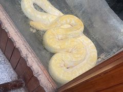 -上海大自然野生昆虫馆