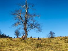 -硗碛藏寨·神木垒景区