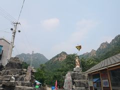 -大岭沟猕猴桃谷风景区