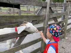 -前小桔亲子创意农场·草莓采摘·露营烧烤