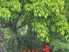 -钦善斋(武侯祠店)