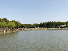 -黄兴公园