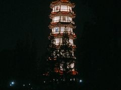 -桃花岛公园