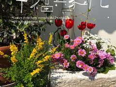 -AHAVA·Fang Baking Studio